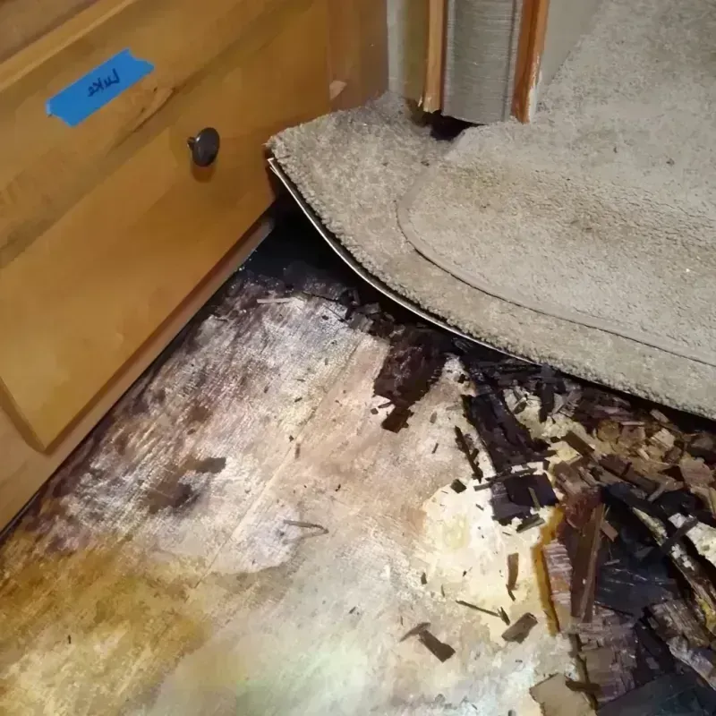 Wood Floor Water Damage in Dodge County, WI